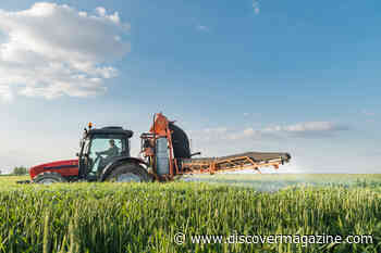 Herbicide Shortage Hamstrings American Industrial Agriculture