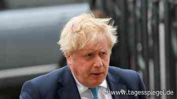 Londoner Polizei verhängt erste Bußgelder: Regierung verteidigt Johnson-Äußerung zu „Partygate“-Skandal - Tagesspiegel