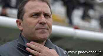 Pro Vercelli-Padova, Camolese: “Partita rischiosa per i Biancoscudati a causa del sintetico, ma devono crederci fino in fondo” - Padova Goal