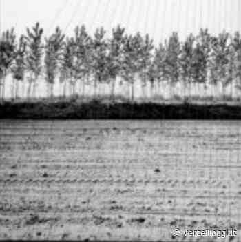 BANCA DEL TEMPO VERCELLI – Mostra fotografica Braille - vercellioggi.it/