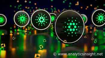 Will Cardano (ADA) and EverGrow Coin Emerge as the Currencies with Best ROI? - Analytics Insight