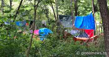 Hamilton council approves increased enforcement of encampments in city parks