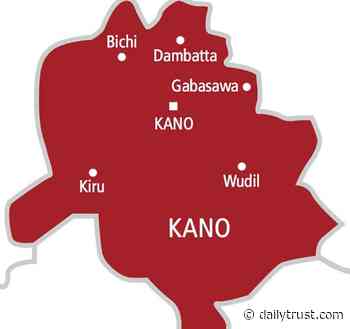 Provost wants college in Kano upgraded to university - Daily Trust