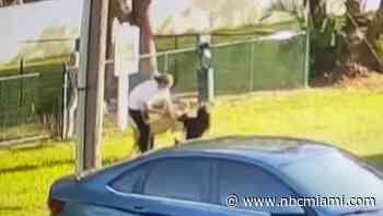 Frightening Footage Shows Woman and Dog Attacked by Another Dog in North Miami