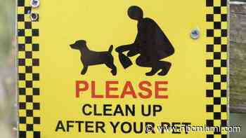 Dog Poop Links Suspect to Violent Miami Armed Robbery: Cops