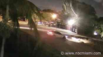 Hit-and-Run Driver Killed Dog, Left Man Critically Injured in NW Miami-Dade