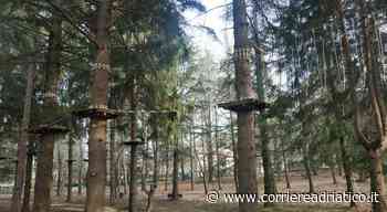 Parco avventura, cinque percorsi sospesi a Colle San Marco per aumentare l'appeal turistico - corriereadriatico.it