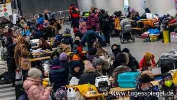 Berlins Sozialämter ächzen unter großem Andrang ukrainischer Flüchtlinge - Tagesspiegel