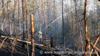 Aichach-Friedberg: Waldbrandgefahr: Beobachtungsflüge auch über Aichach-Friedberg | Aichacher Nachrichten - Augsburger Allgemeine