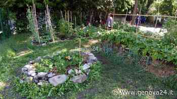 Invecchiamento attivo e solidarietà tra generazioni, al via a Rapallo il bando “Orti sociali” - Genova24.it