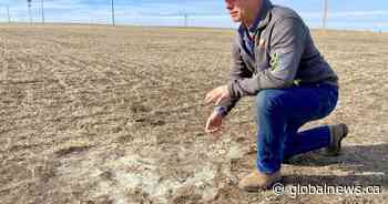 Moisture ‘desperately’ needed across southern Alberta after dry winter