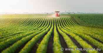 Pesticides in food: latest report published | EFSA - EFSA news