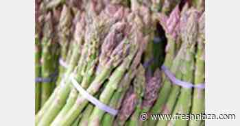Asparagus sector in Granada returns to normal after transport strike - FreshPlaza.com
