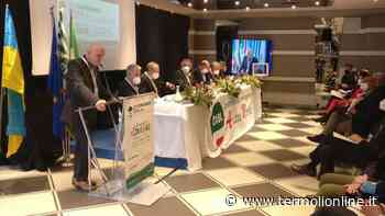 "Fondamentale garantire livelli occupazionali nella Gigafactory di Termoli e in Sevel" - Termoli Online