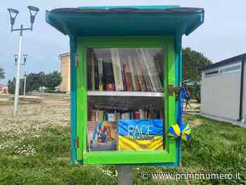 Coccarde coi colori dell’Ucraina sulle casette dei libri a Termoli - Primonumero