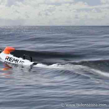 Navy Picks HII’s Remus 300 for Lionfish Underwater Drone Program