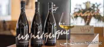 Drei Weine, drei Unikate: Dreierset Weine des Weinguts Hagn gewinnen! - Falstaff