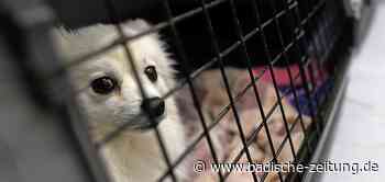 "Keine Unterstützung vom Land" - Lahr - Badische Zeitung