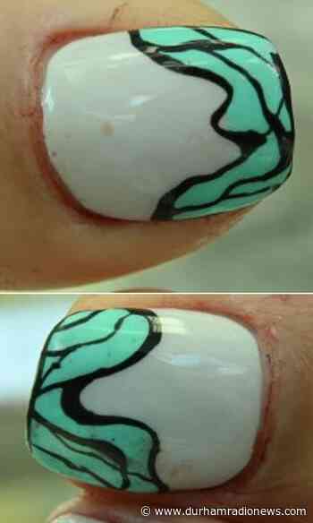 Woman's dismembered body found in plastic bag in Toronto - durhamradionews.com