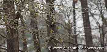 Special weather statement for Durham warns of possible freezing rain, ice pellets and snow Wednesday - durhamradionews.com