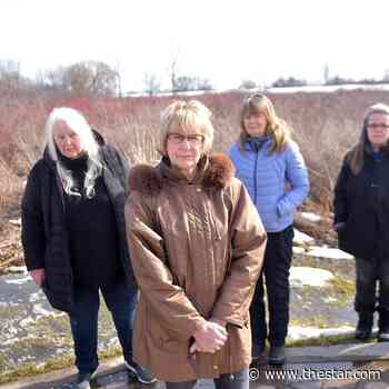 'This is kind of the heartland of agriculture and nature': Durham Region to consider Greenbelt protection for Pickering's Carruthers Creek headwaters - Toronto Star