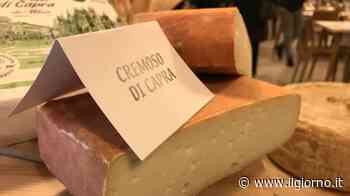 Lainate, il 'Cremoso di capra' de L'Agricola è Medaglia d'Oro ai World Cheese Awards - IL GIORNO