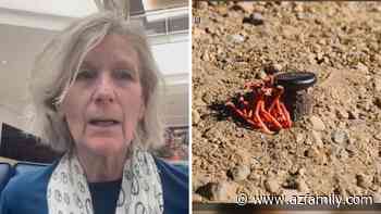 Injured Phoenix mom warning others about “hidden dangers” along popular walking trail - Arizona's Family