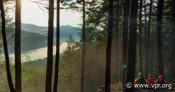 Work is underway on a mountain bike trail traversing Vermont, 'a new concept for the Northeast' - Vermont Public Radio