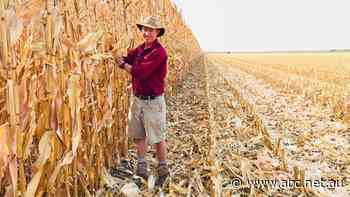 'Out of control': High prices leave farmers struggling to break even