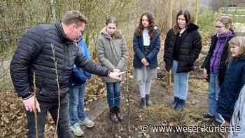 Garten-AG des Gymnasiums Lilienthal baut Spalierobst an - WESER-KURIER - WESER-KURIER