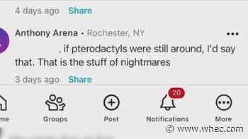 Fact Check: Things that go 'screech' in the night