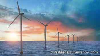 AG sees 'risks' to customers from costly offshore wind farm