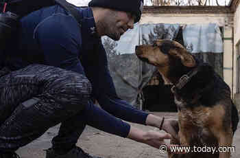 One American left safety behind to care for abandoned animals in Ukraine