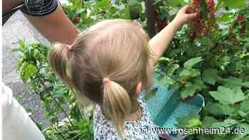 Wasserburg wird wieder zur „essbaren Stadt“