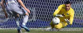 Da Monza a Monza: la porta del Como ora ha quattro mani - La Provincia di Como