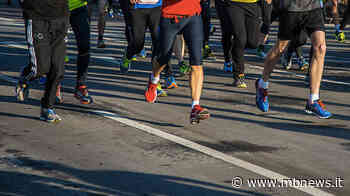 Omaggi: regaliamo 6 pettorali per la corsa Run Free Milano-Monza - MBNews