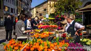 Bancarelle, gonfiabili e golosità a Concorezzo - MonzaToday