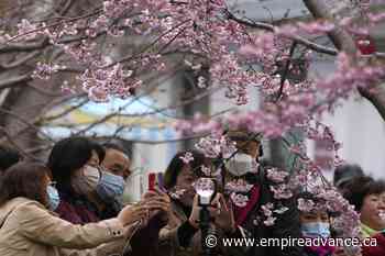 WHO: COVID deaths jump by 40%, but cases falling globally - Virden Empire Advance