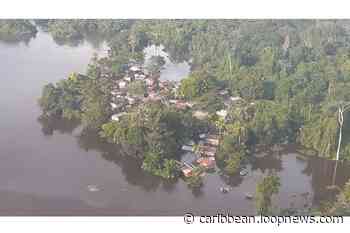 Suriname receives millions for sustainable forest management | Loop Caribbean News - Loop News Caribbean