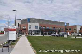 New memorial forest sprouting at Groves Hospital grounds - EloraFergusToday