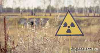 Russian soldiers disturbed radioactive dust in Chornobyl’s ‘Red Forest,’ workers say - Global News