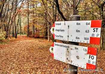 Il "parco dei fontanili" non convince il consiglio comunale di Gallarate - varesenews.it