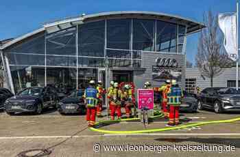 Autobrand in Leonberg - Jetzt ermitteln die Kriminaltechniker - Leonberger Kreiszeitung