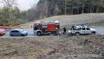 "Chiarezza sugli incendi avvenuti in Appennino a Parma" - ParmaToday