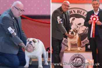 Accolades for Daubhill bulldog trainer two weeks running