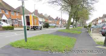 American Bully XL put down after pensioner injured in Solihull attack - Birmingham Live