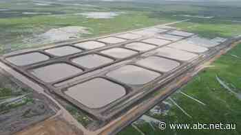 Mega prawn farm plan in northern Australia seems dead in the water