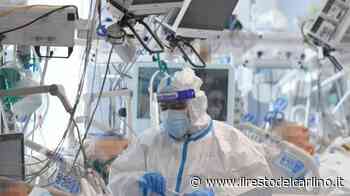 Operaio morto per Covid, azienda nei guai a Modena - il Resto del Carlino