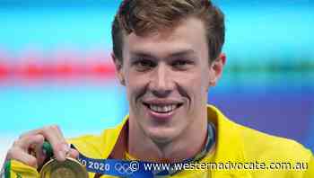 Dolphins signal changing of swim guard - Western Advocate