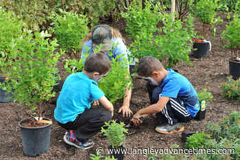 Green grants offered in Township to fight climate change – Langley Advance Times - Langley Advance Times